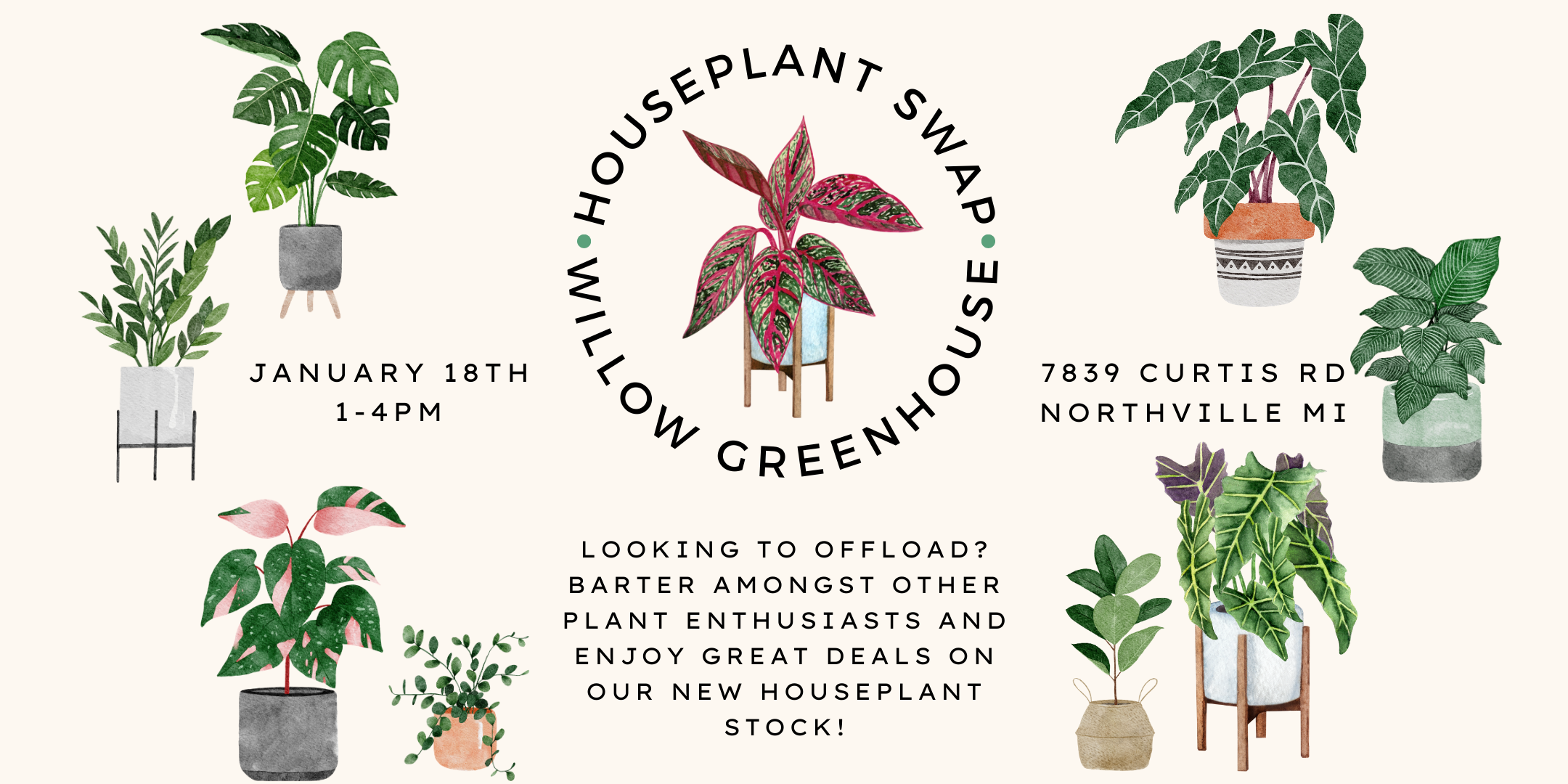 Houseplant Swap at Willow Greenhouse