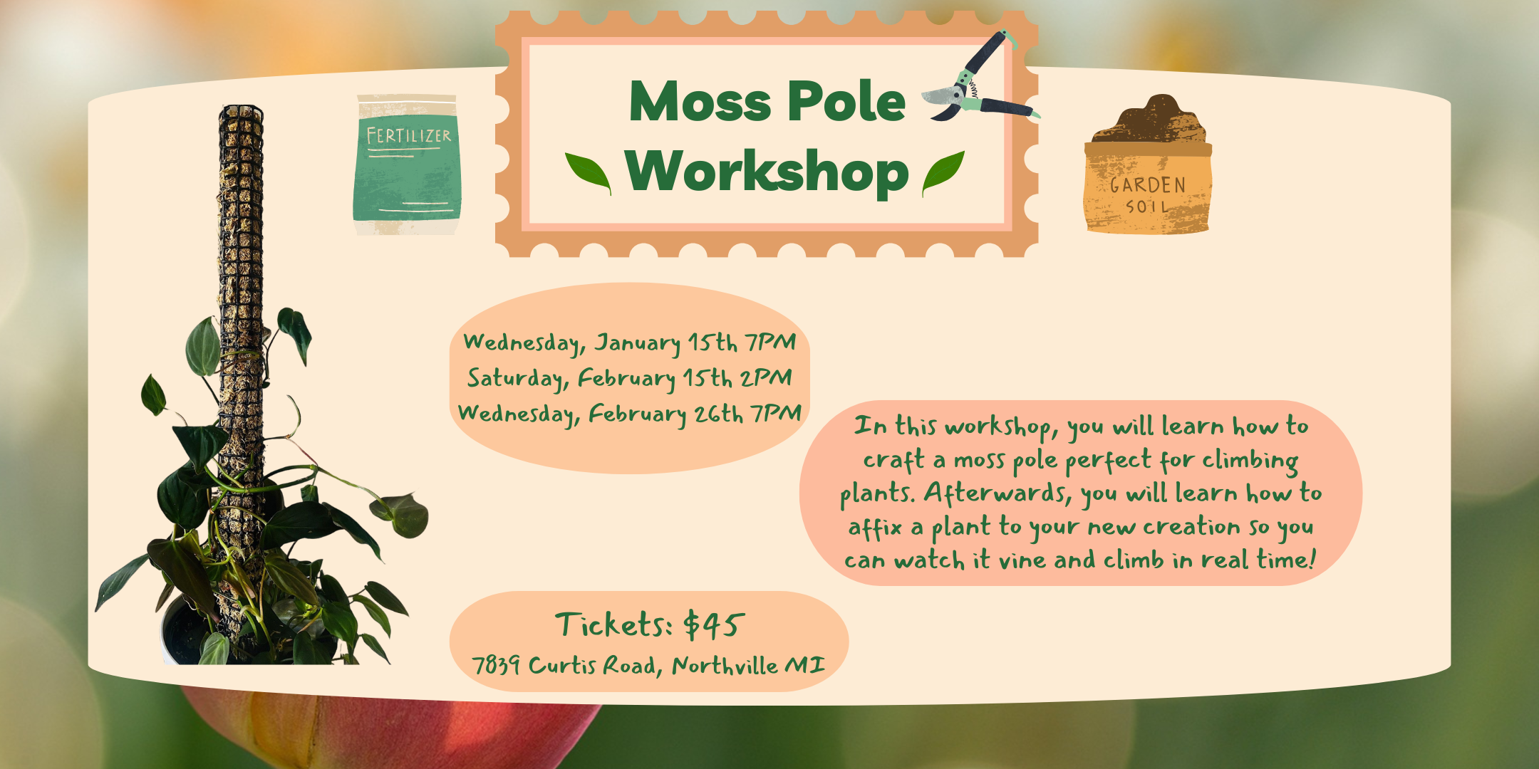 Moss Pole Workshop at Willow Greenhouse